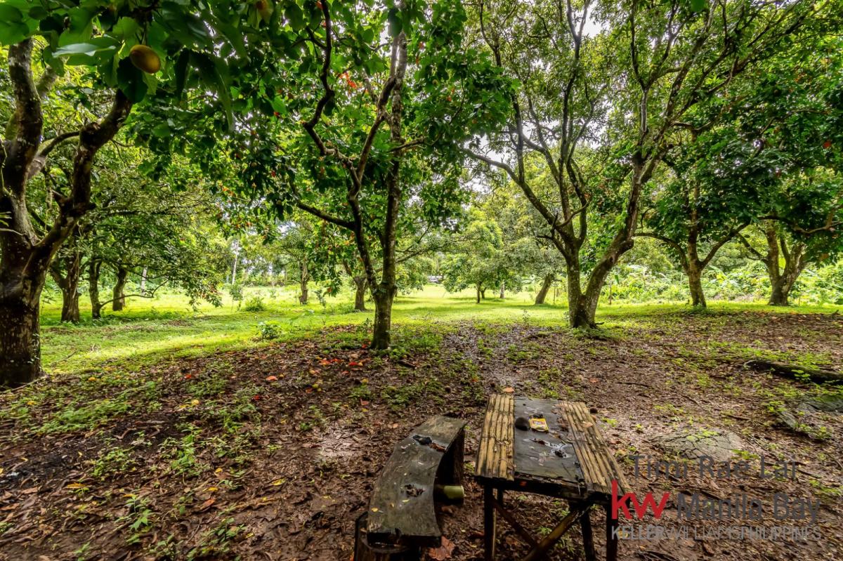 Farm Lot for Sale in Alfonso, Cavite