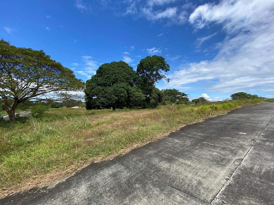 Resale Farm Lot in Tanza Cavite Nusa Dua Farm Estate
