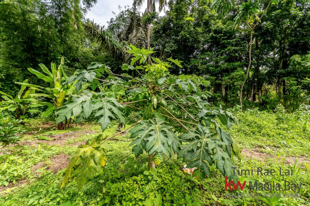 Farm Lot for Sale in Alfonso, Cavite