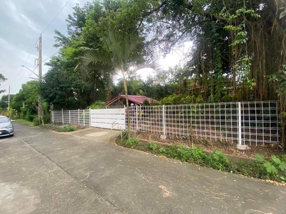 Farm Lot with Mini Rest House and Fish Pond