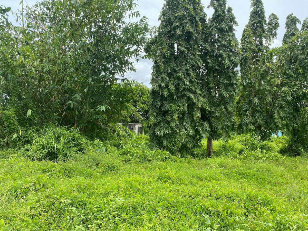 Tatala Binangonan Lot for Sale