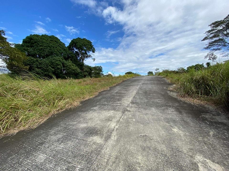 Resale Farm Lot in Tanza Cavite Nusa Dua Farm Estate