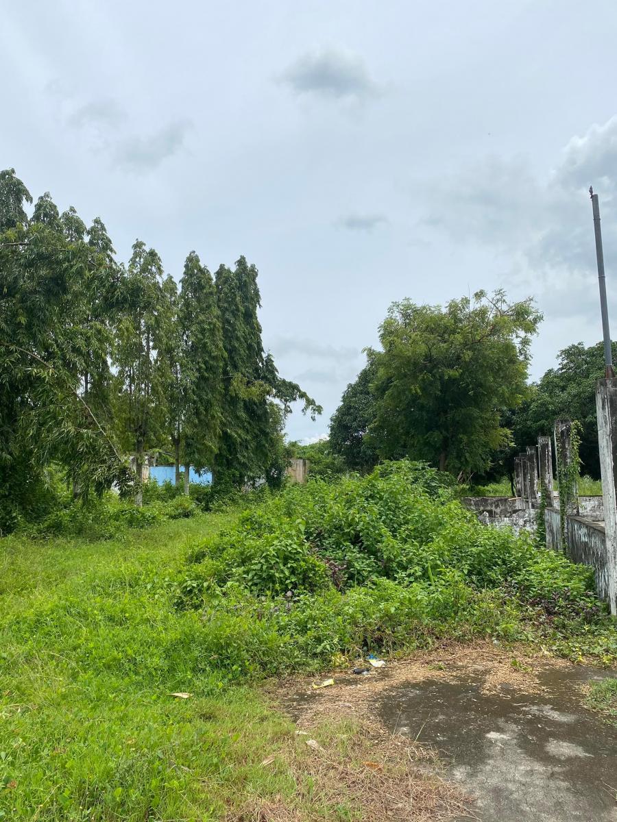 Tatala Binangonan Lot for Sale