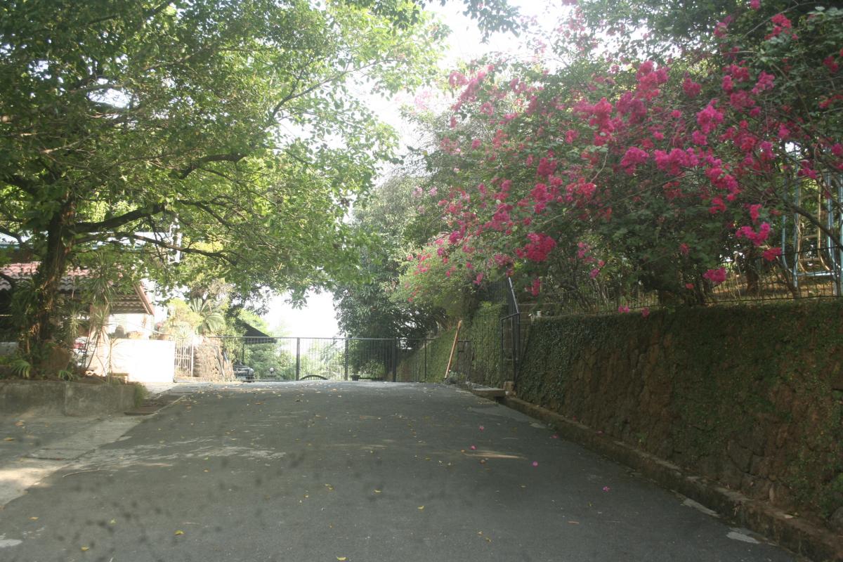 Muzon Overlooking Property