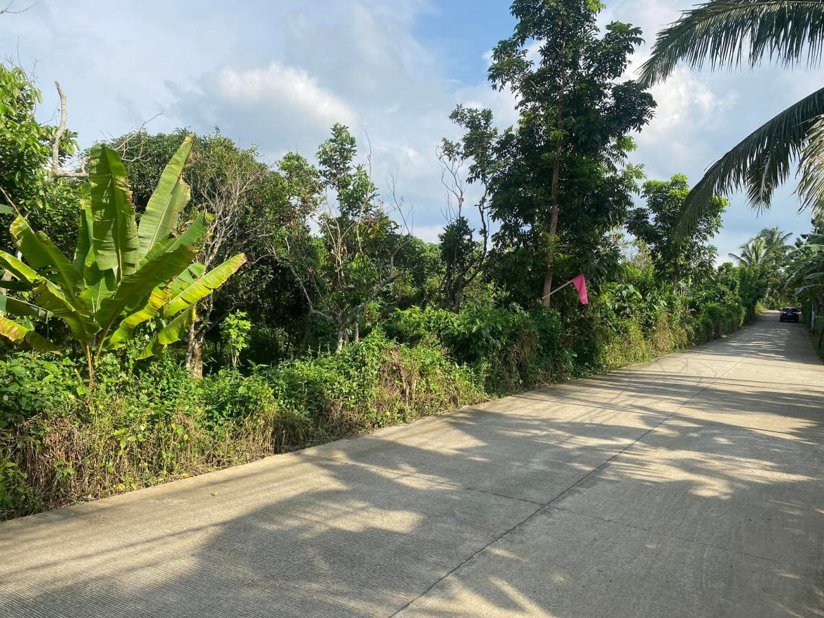 Lot for Sale in Silang Cavite