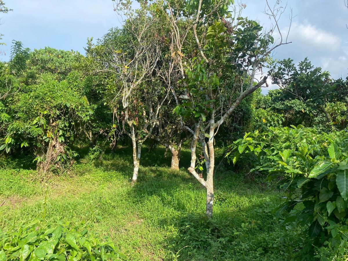 Lot for Sale in Silang Cavite