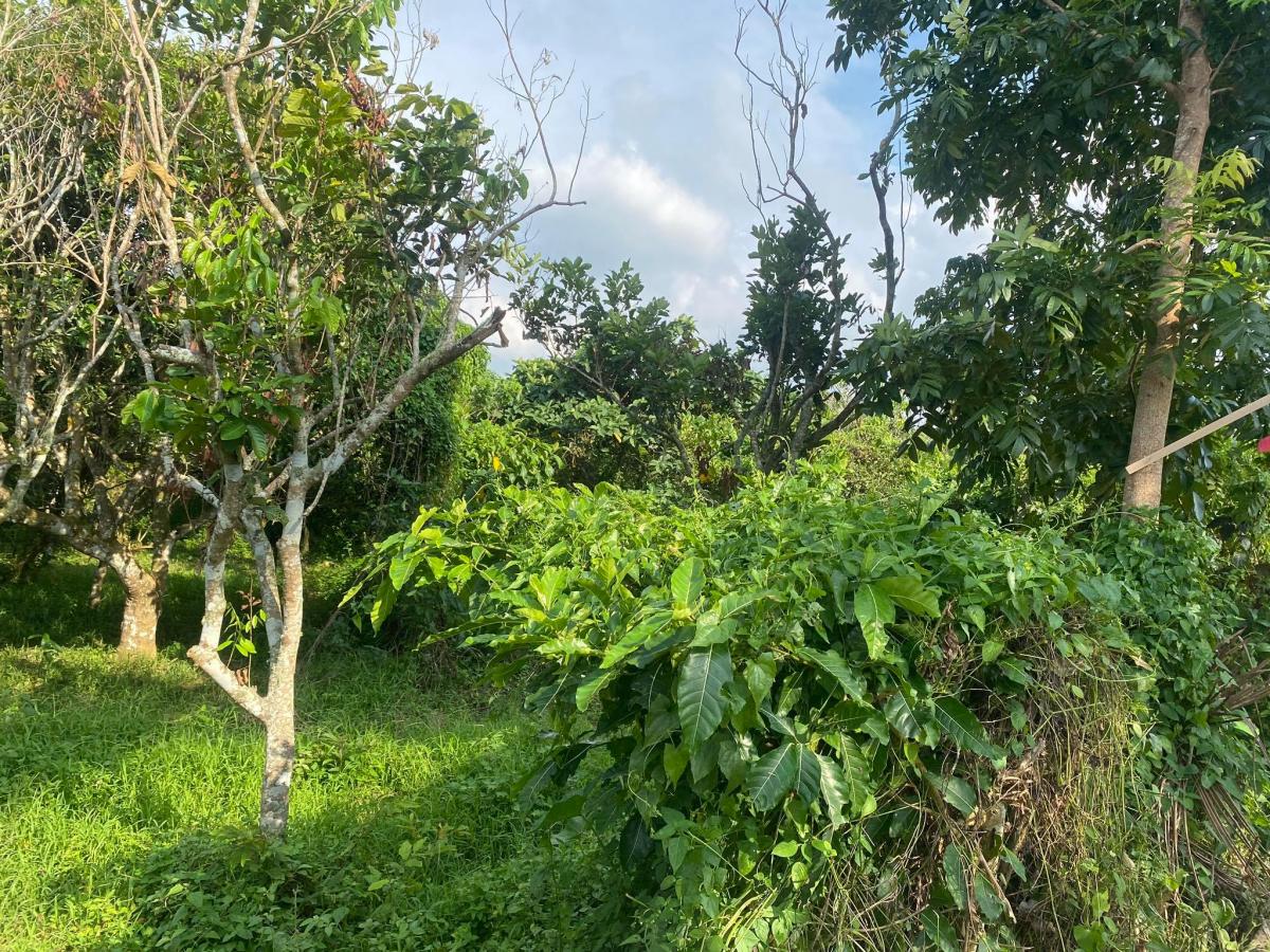 Lot for Sale at Silang Cavite