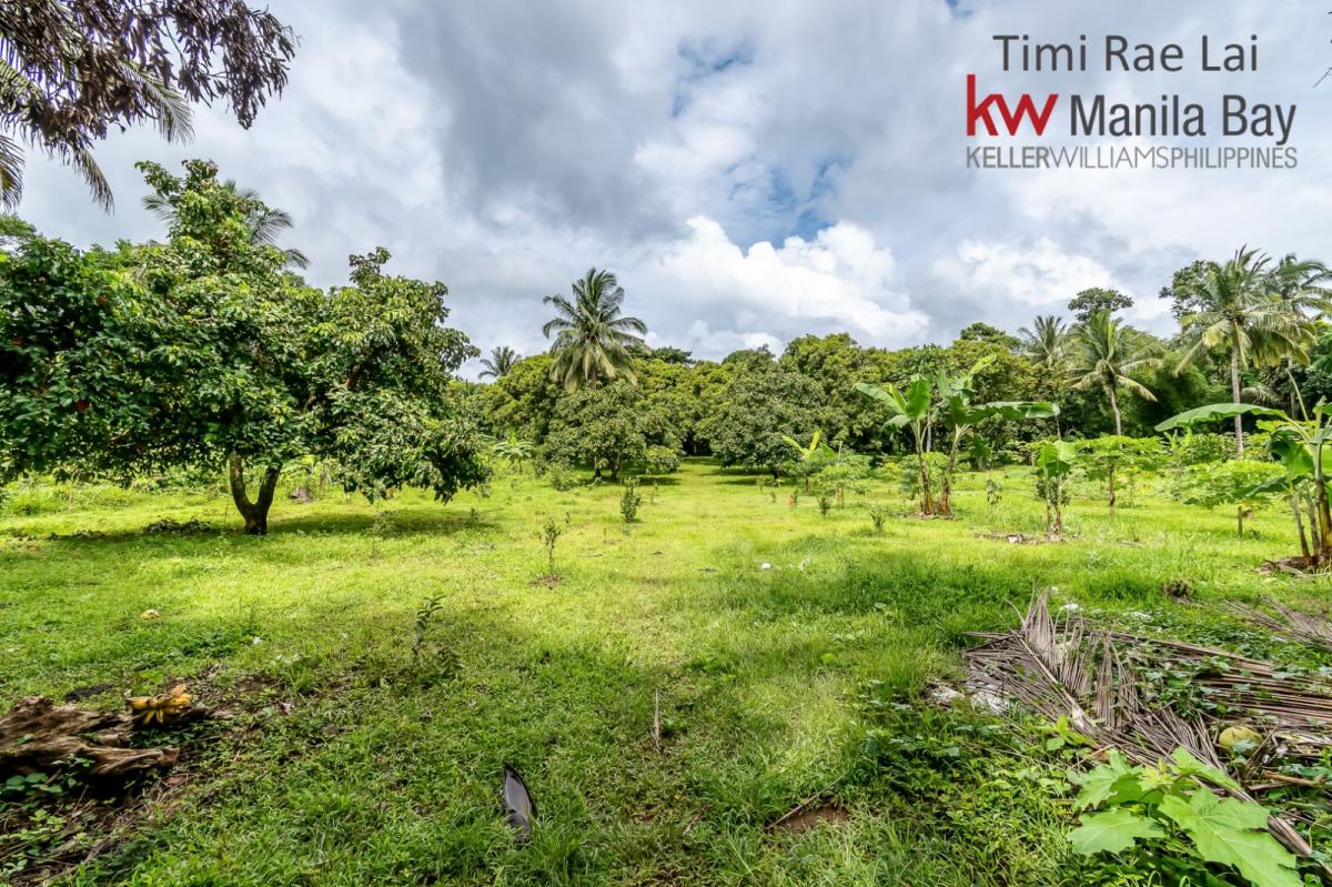 Farm Lot for Sale in Alfonso, Cavite