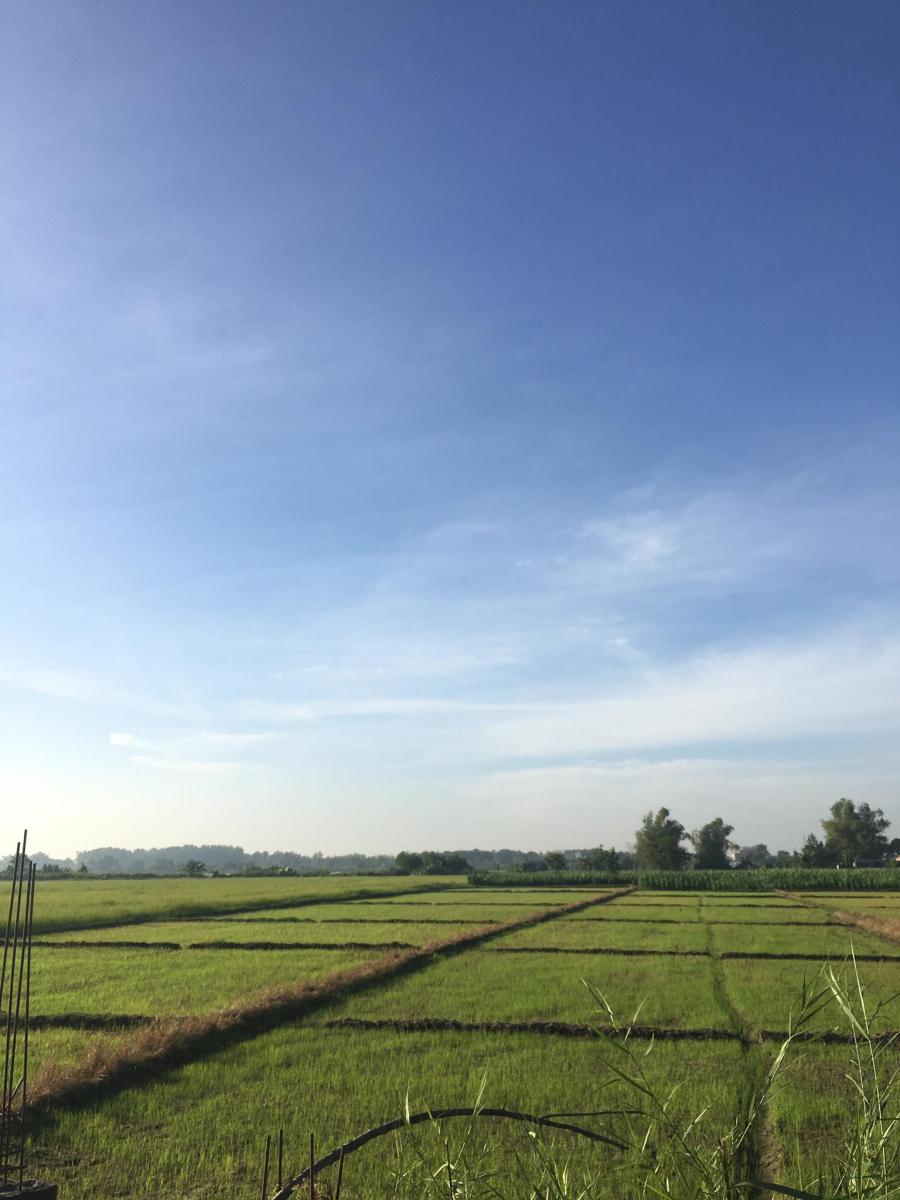 RAW LAND FOR SALE