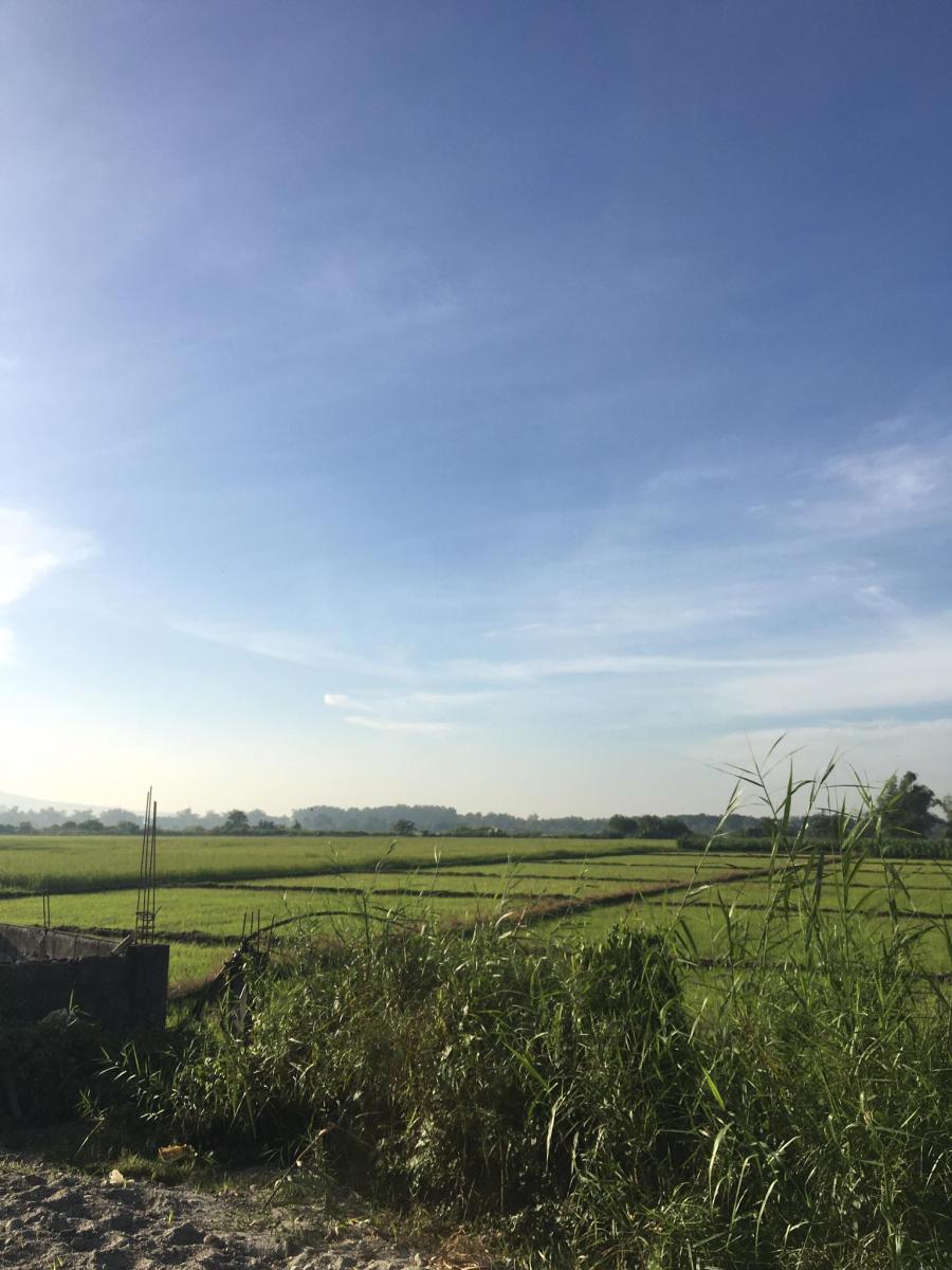 RAW LAND FOR SALE