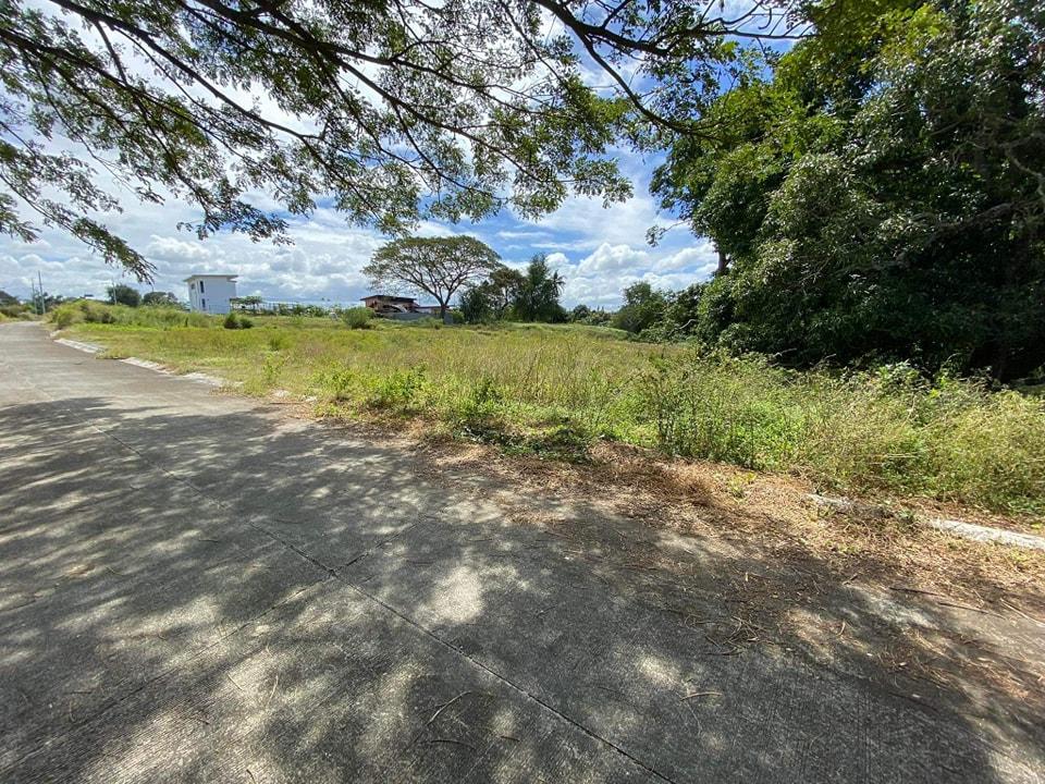 Resale Farm Lot in Tanza Cavite Nusa Dua Farm Estate