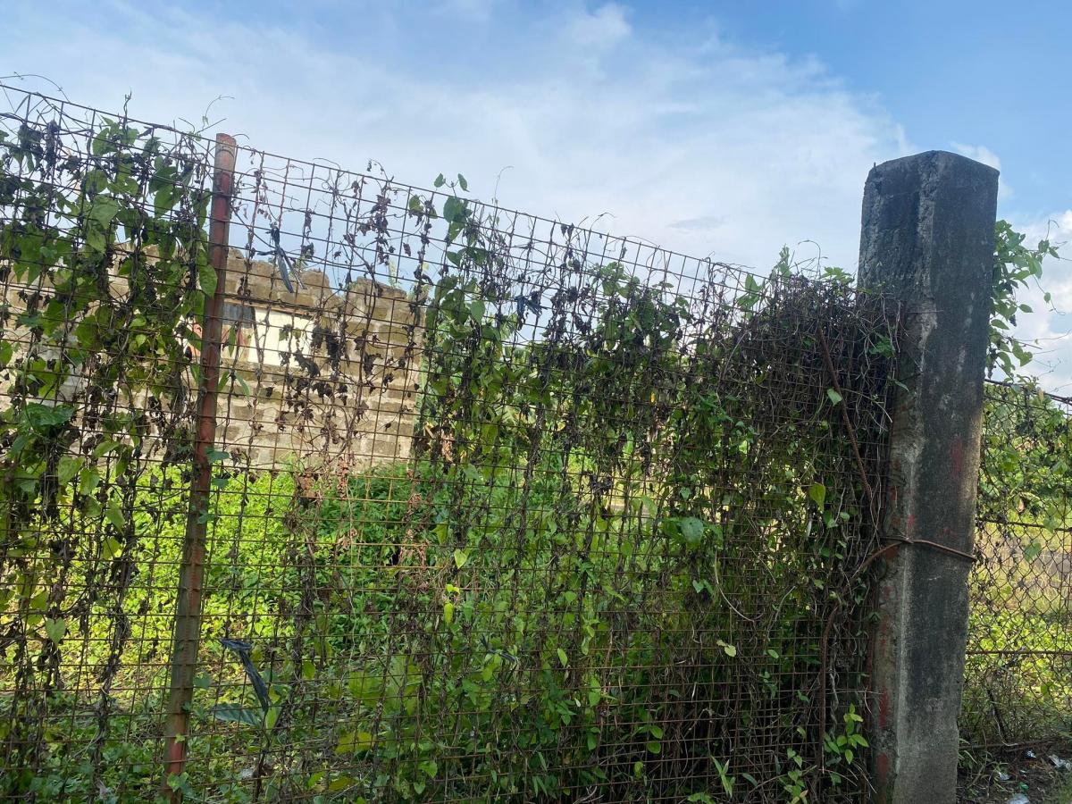 Lot for Sale in Silang Cavite