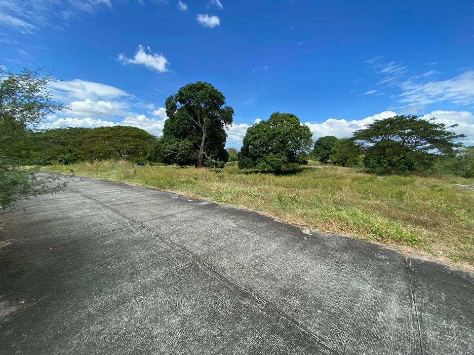Resale Farm Lot in Tanza Cavite Nusa Dua Farm Estate