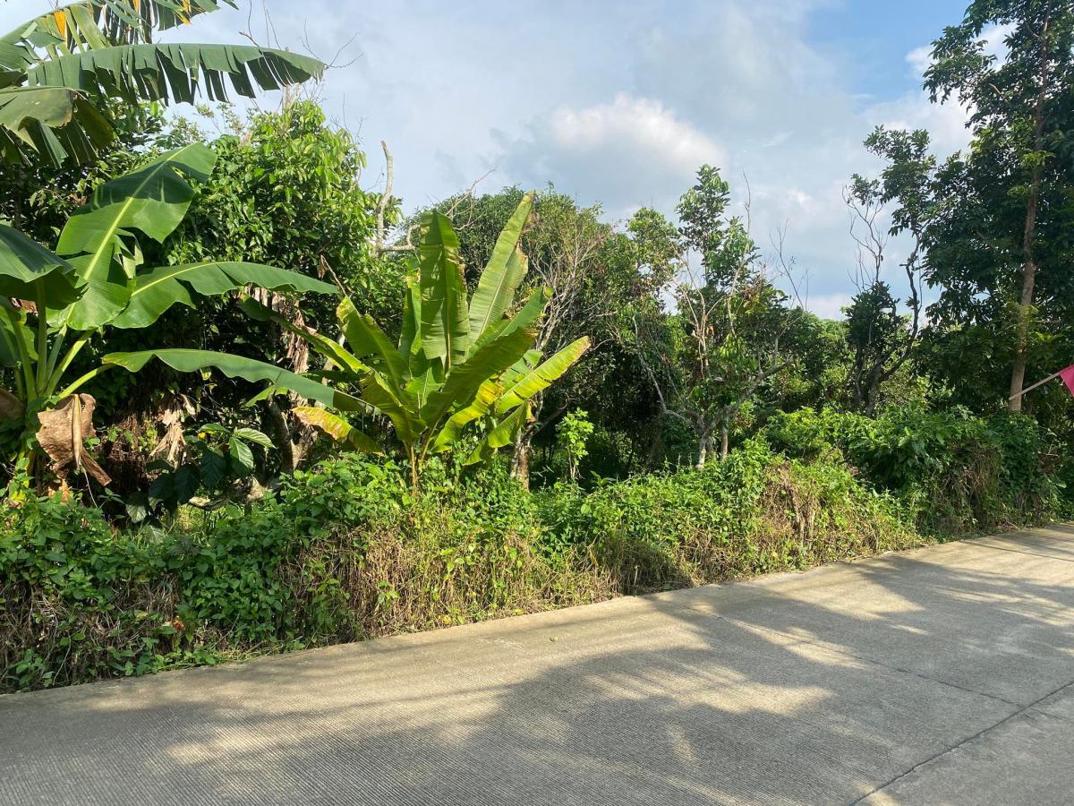 Lot for Sale in Silang Cavite