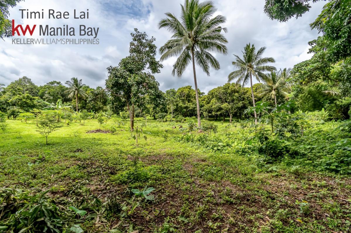 Farm Lot for Sale in Alfonso, Cavite